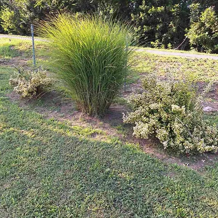 Prázdninový dům Nasa Kuca Grocka