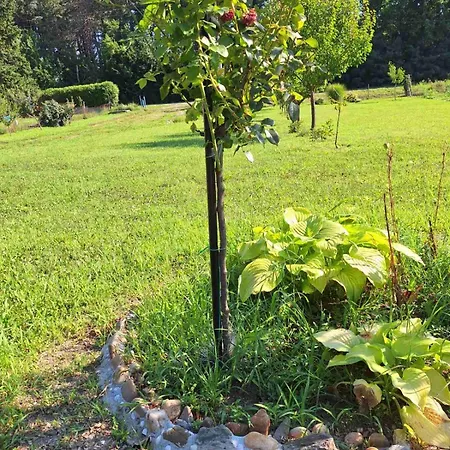 Prázdninový dům Nasa Kuca Grocka