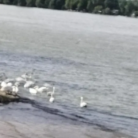 Prázdninový dům Nasa Kuca *